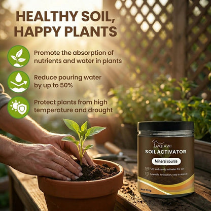 🔥Last Day 70% OFF-🌱Soil Activated Treasure-You Will Be Amazed!