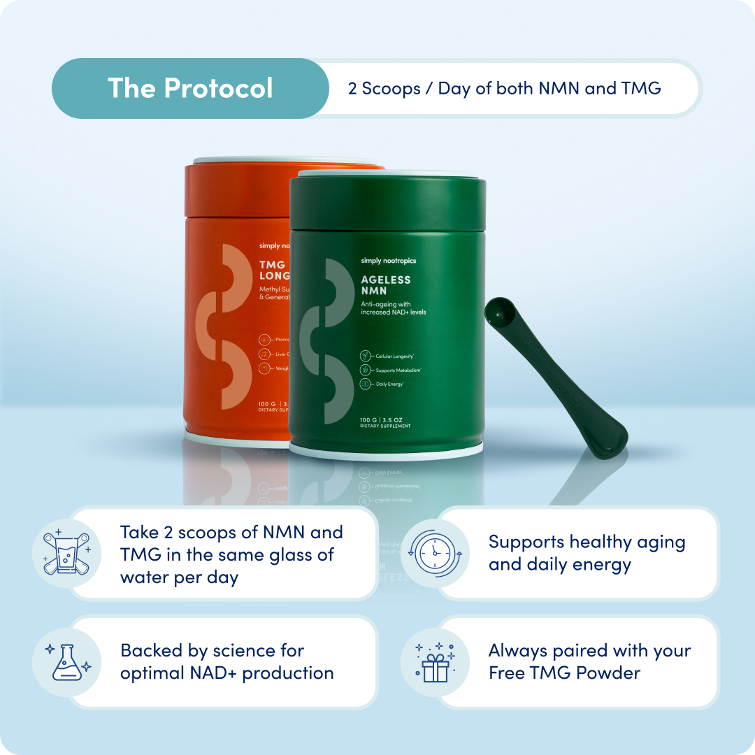 NMN Powder (3-Month Supply) NAD+ Booster