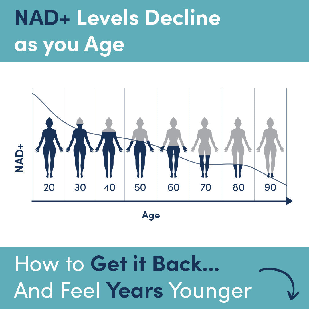 NMN Powder (3-Month Supply) NAD+ Booster
