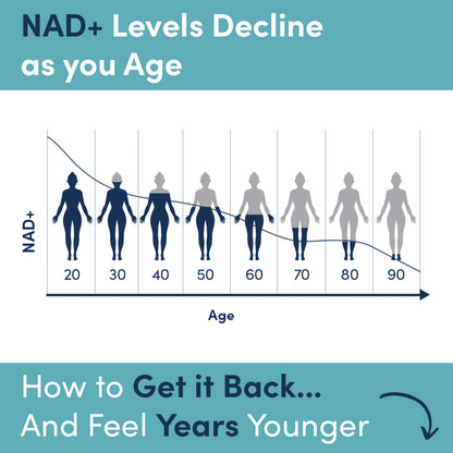 NMN Powder (3-Month Supply) NAD+ Booster