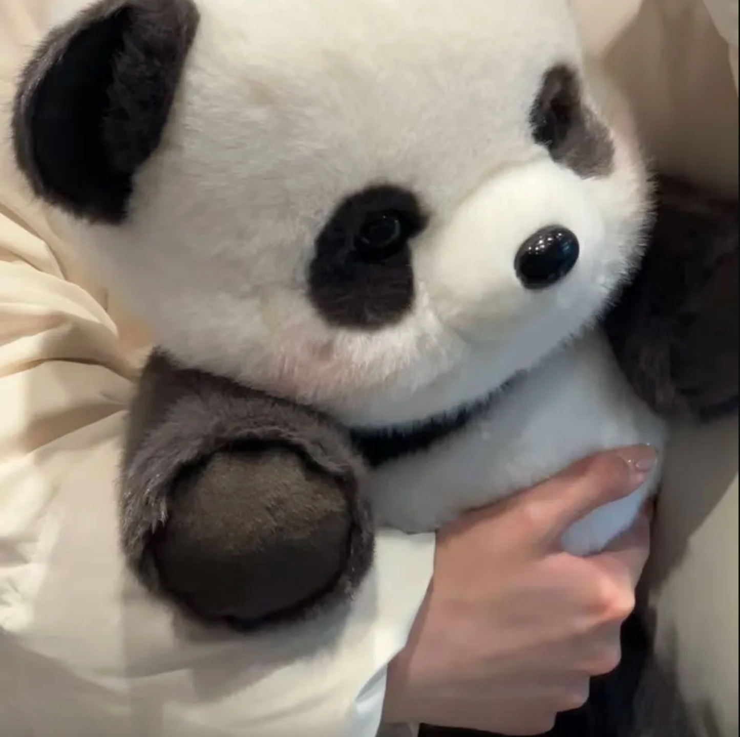 SnuggleBao™ - Cozy Panda Plush