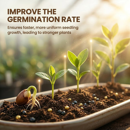 🔥Last Day 70% OFF-🌱Soil Activated Treasure-You Will Be Amazed!