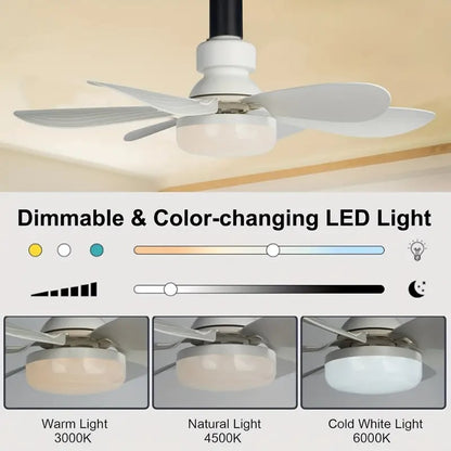 ⏳LAST DAY SALE 49% OFF🔥40W LED Ceiling Fan Light – 20.5” Ultra-Quiet with Remote 🎯 | E27 + FREE B22 Adapter 🔌 | For Bedroom 😴, Kitchen 👩‍🍳 & Garage 🛠️