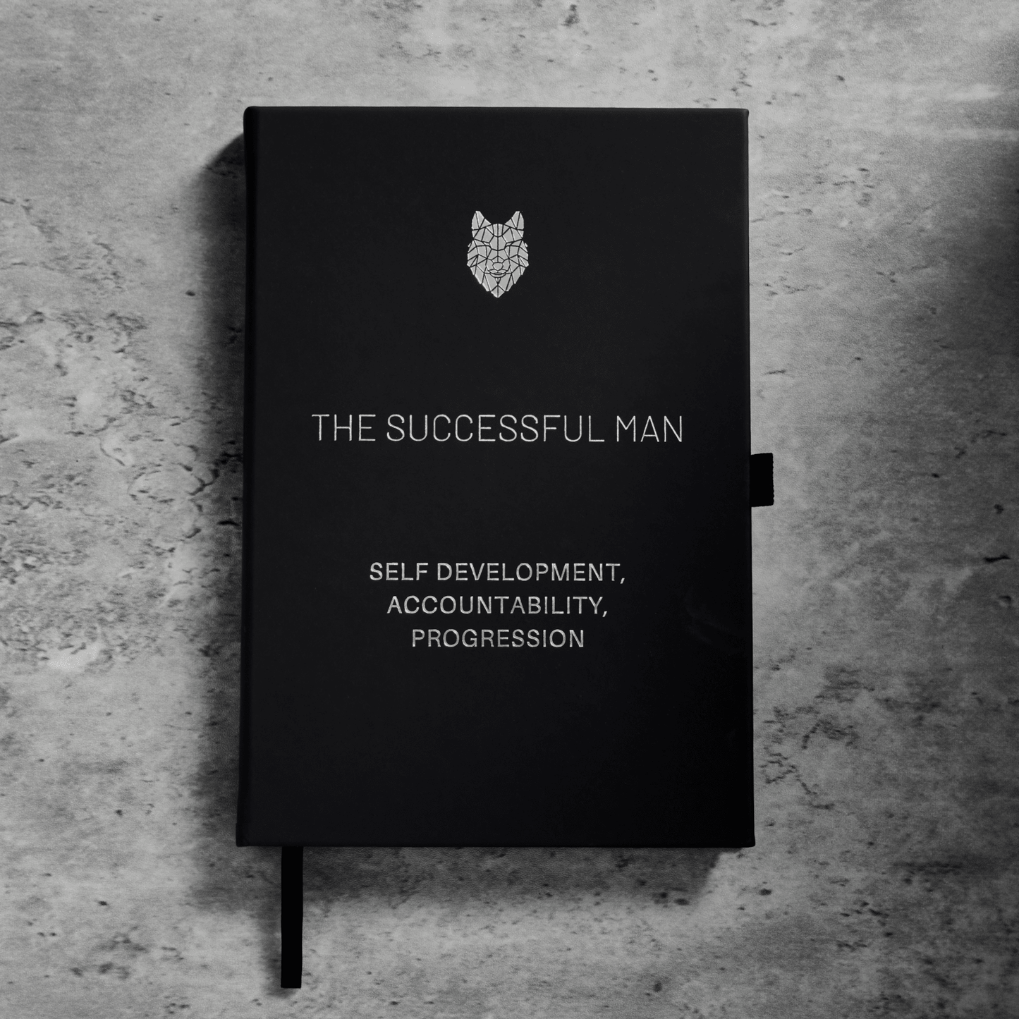 The Successful Man